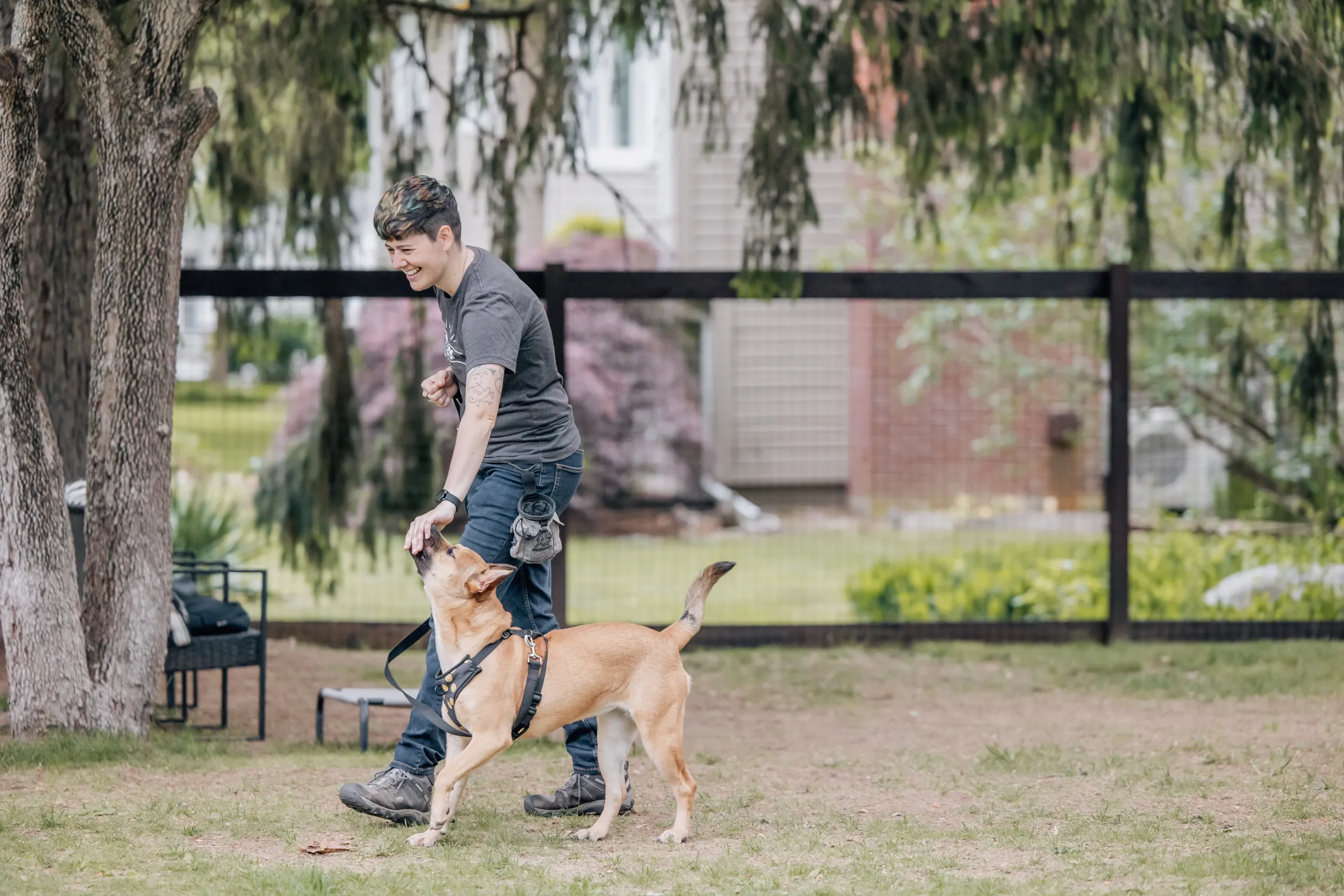 Private dog training session